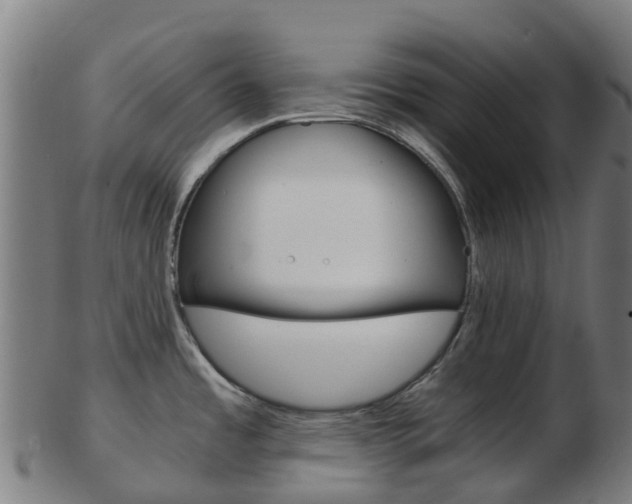X0000103501485200809121001