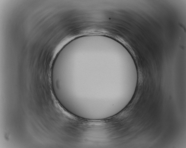 X0000103501486200809121001