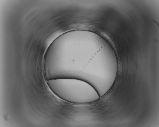 X0000103501487200809121001