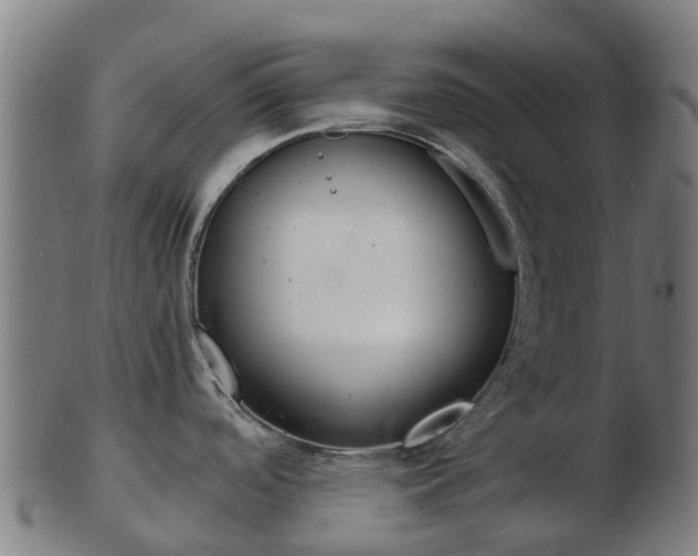 X0000103501488200809121001