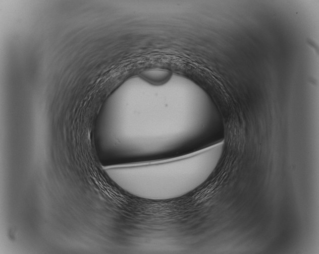 X0000103501489200809121000