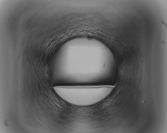 X0000103501490200809121000