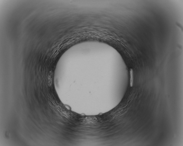 X0000103501491200809121000