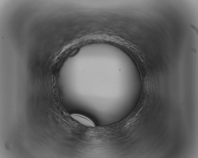 X0000103501494200809121000