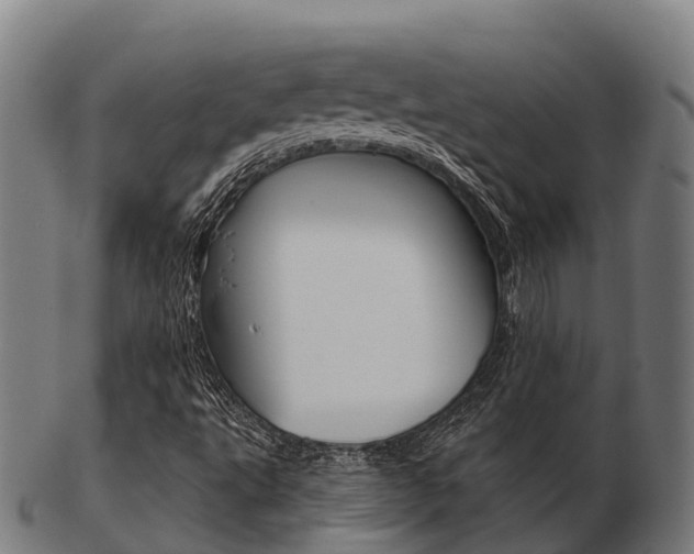 X0000103501495200809121000