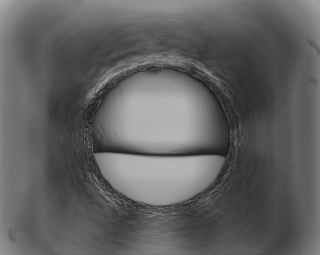 X0000103501496200809121000
