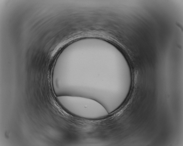 X0000103501498200809121000