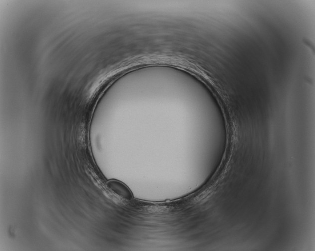 X0000103501499200809121000