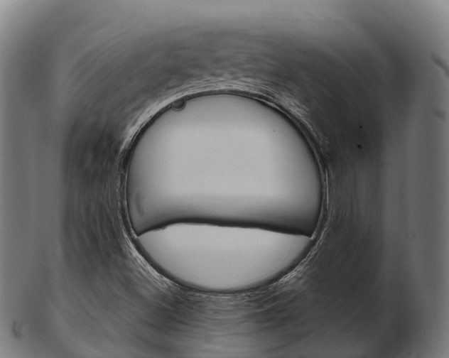 X0000103501500200809121000