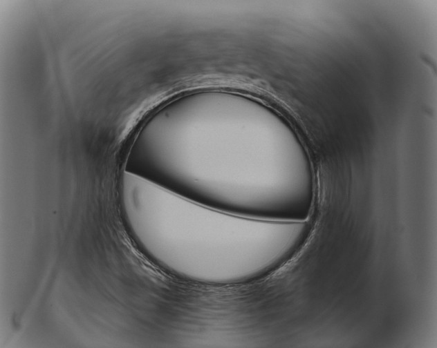 X0000103501501200809121000