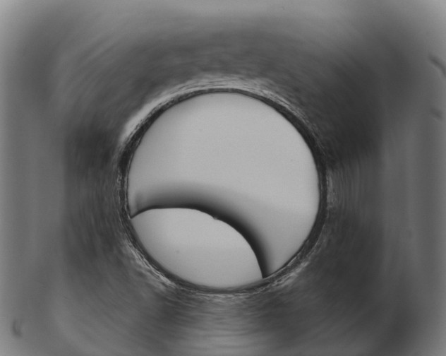 X0000103501502200809121000