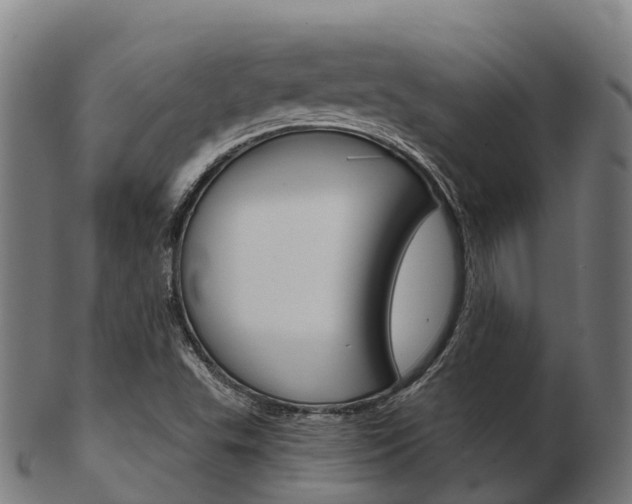 X0000103501503200809121000