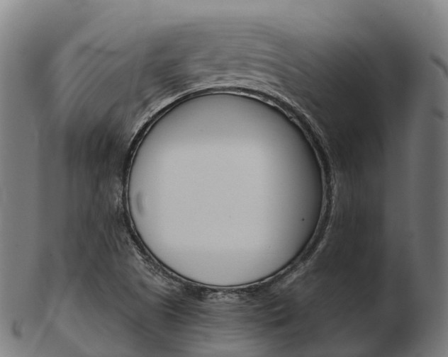 X0000103501505200809121000