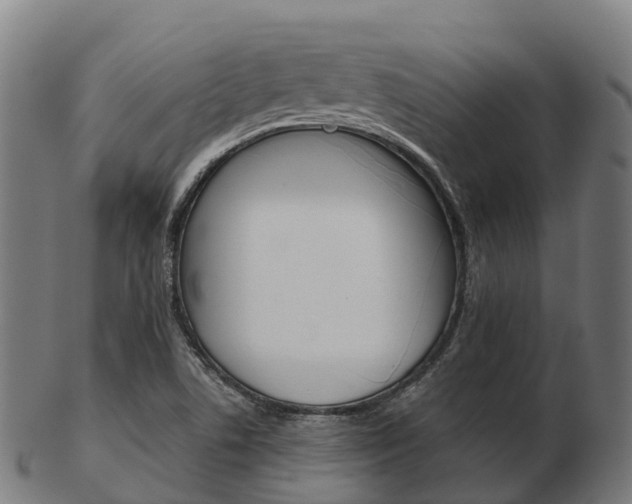X0000103501506200809121000