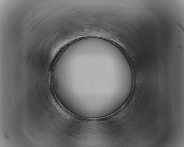 X0000103501507200809121000