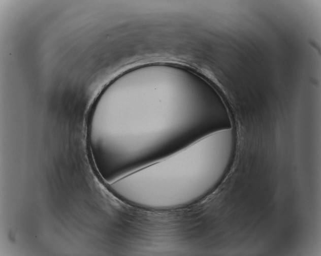 X0000103501508200809121000