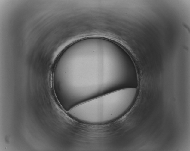 X0000103501510200809121001