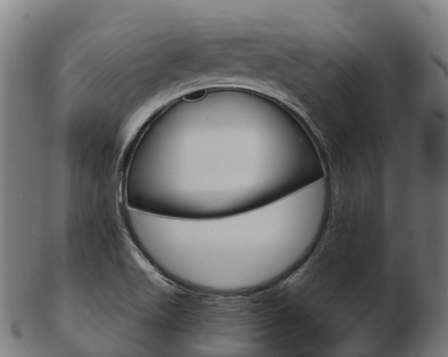 X0000103501511200809121001