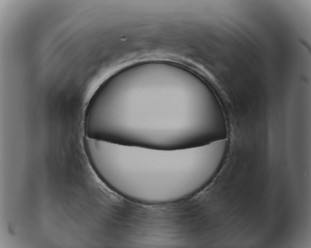 X0000103501512200809121001
