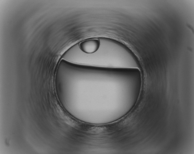 X0000103501513200809121001