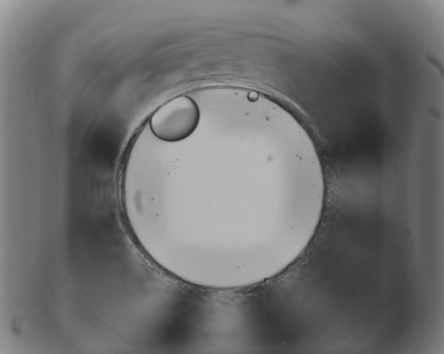 X0000103501514200809121001