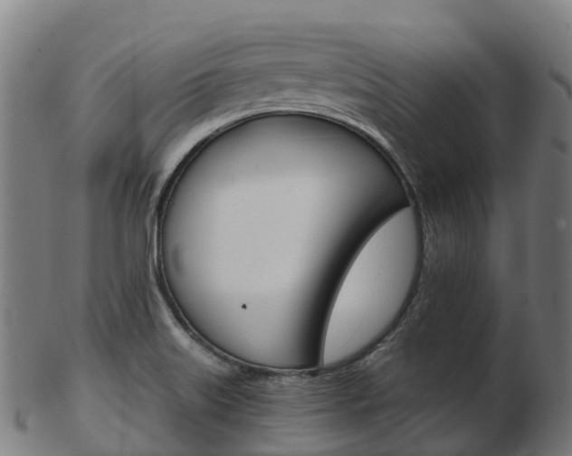 X0000103501515200809121001