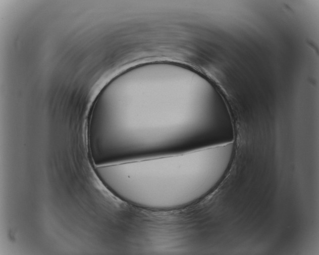 X0000103501516200809121001