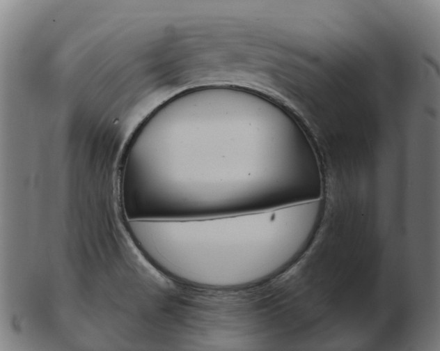 X0000103501517200809121001