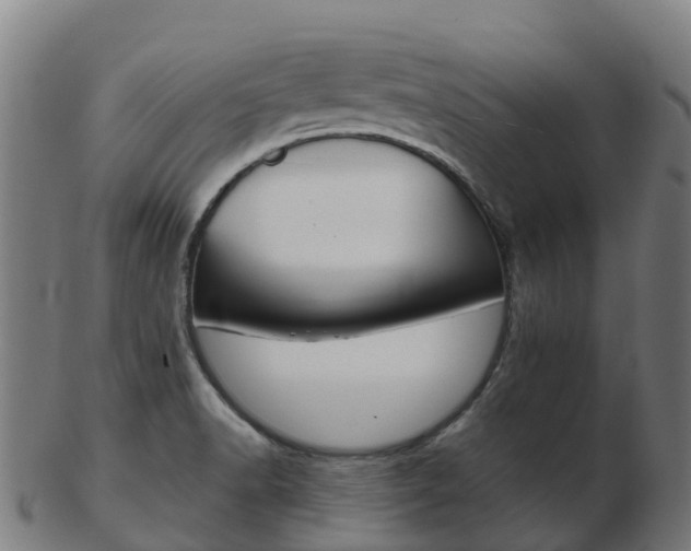 X0000103501518200809121001