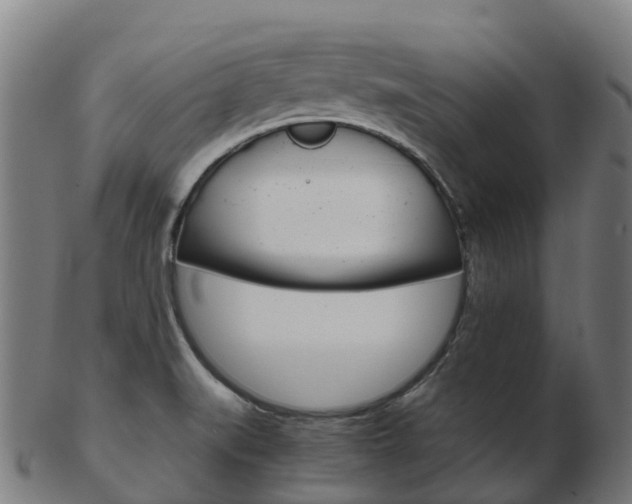X0000103501519200809121001