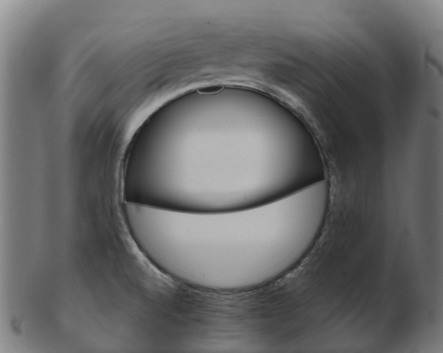 X0000103501520200809121001