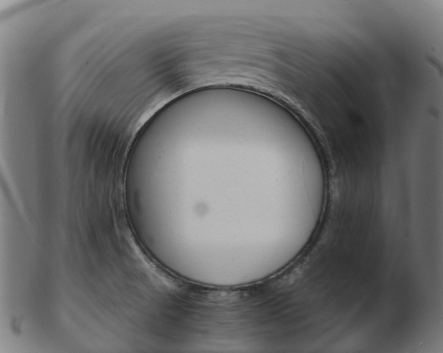 X0000103501521200809121001