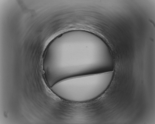 X0000103501522200809121001