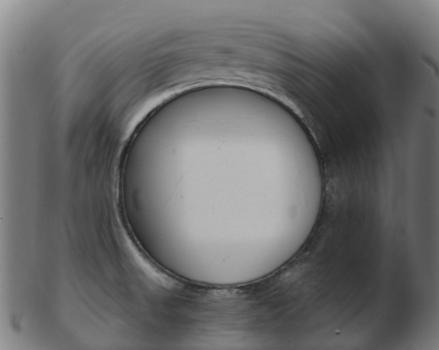 X0000103501523200809121001