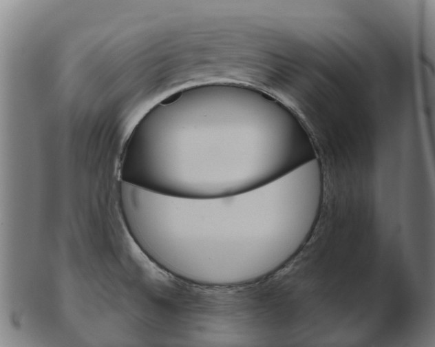 X0000103501524200809121001