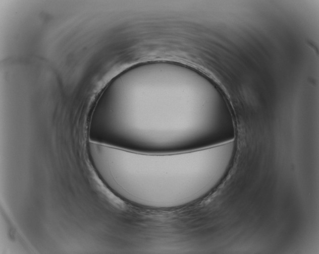 X0000103501525200809121001
