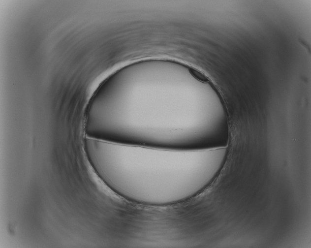 X0000103501526200809121001