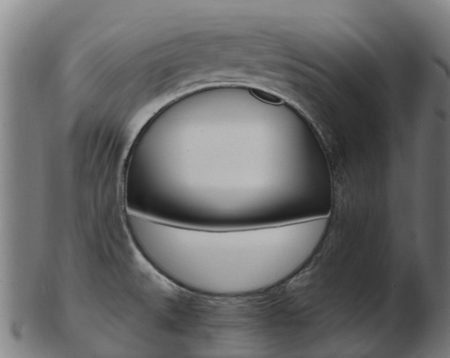 X0000103501527200809121001