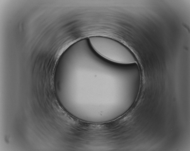 X0000103501529200809121001