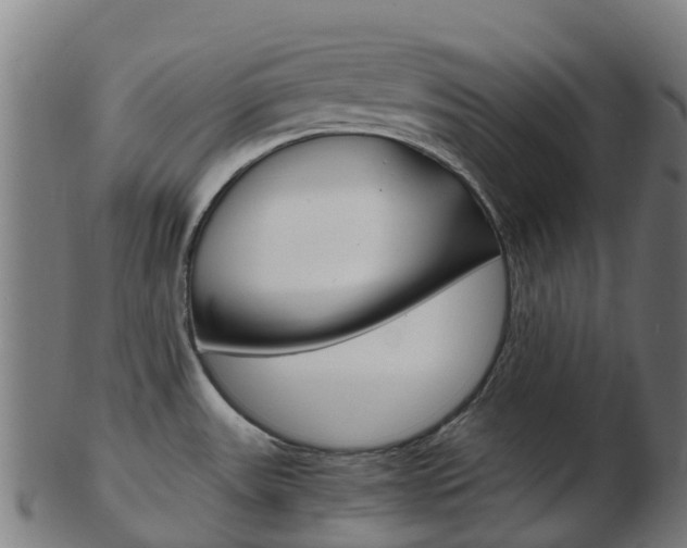 X0000103501531200809121001