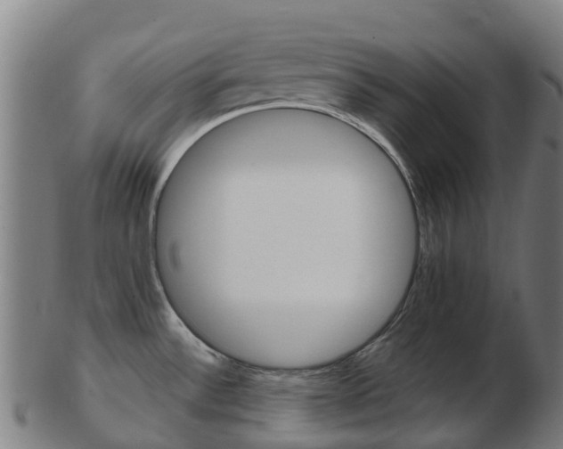 X0000103501532200809121001