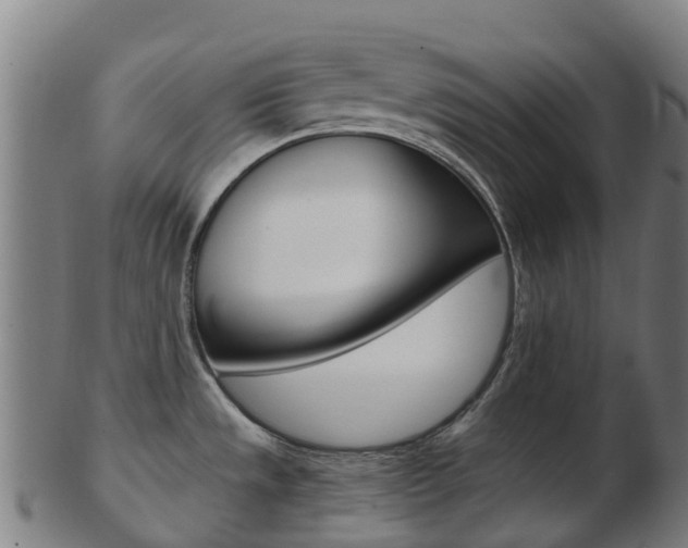 X0000103501533200809121001