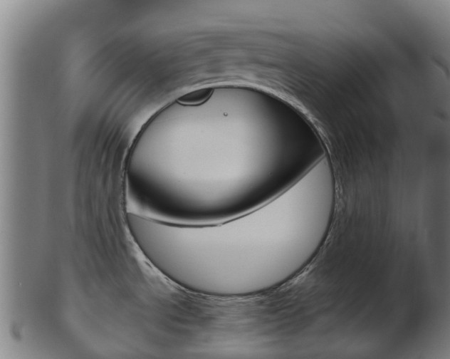 X0000103501534200809121001