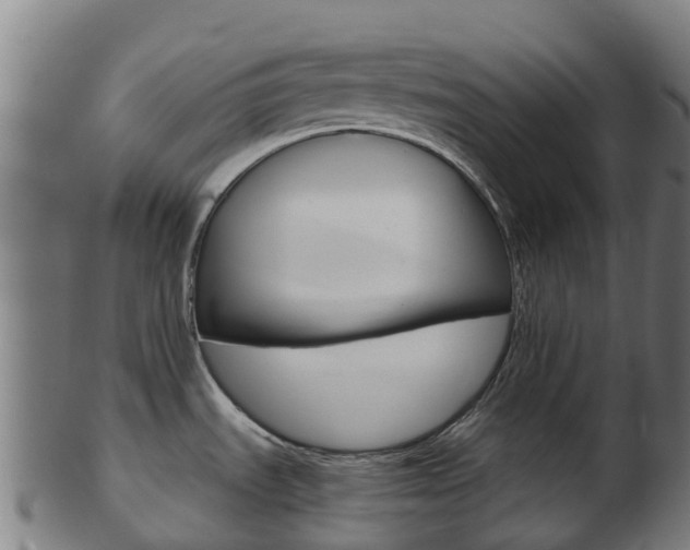X0000103501535200809121001