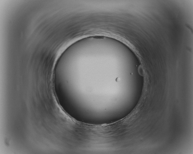 X0000103501536200809121001