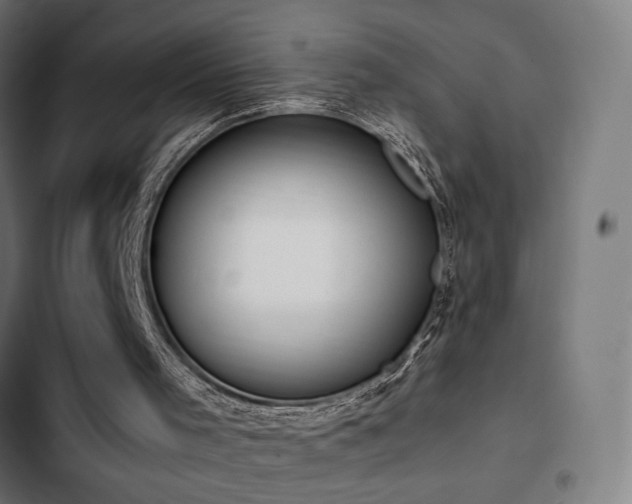 X0000103500001200809121751