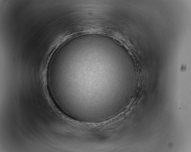 X0000103500002200809121751