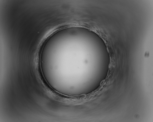 X0000103500005200809121751