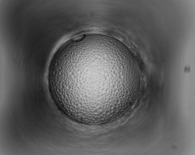 X0000103500006200809121751