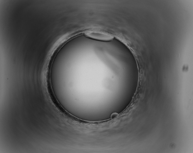 X0000103500007200809121751